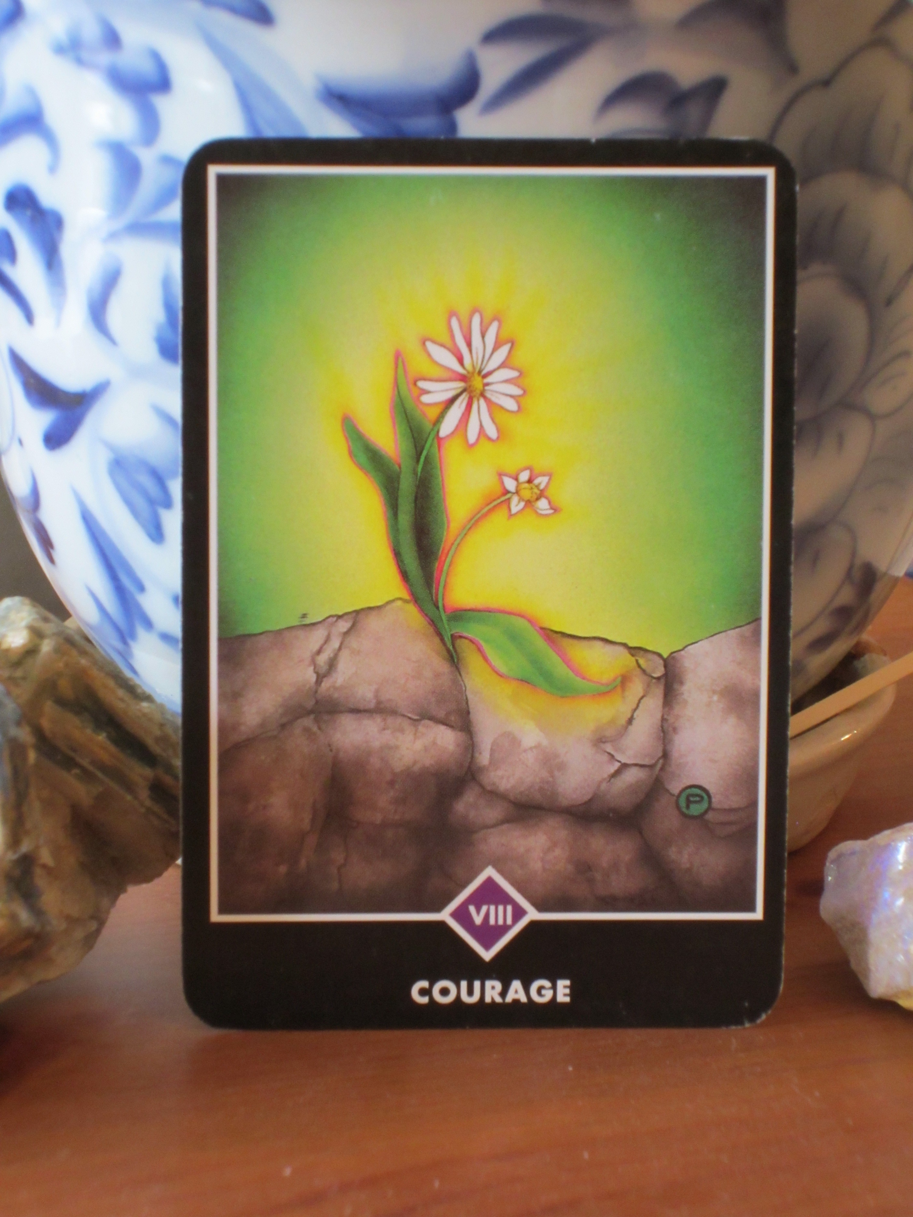 Osho Zen Tarot - Courage (8 of MA, also known as Strength). A daisy has pushed its way up through the concrete and is blooming, blooming, blooming