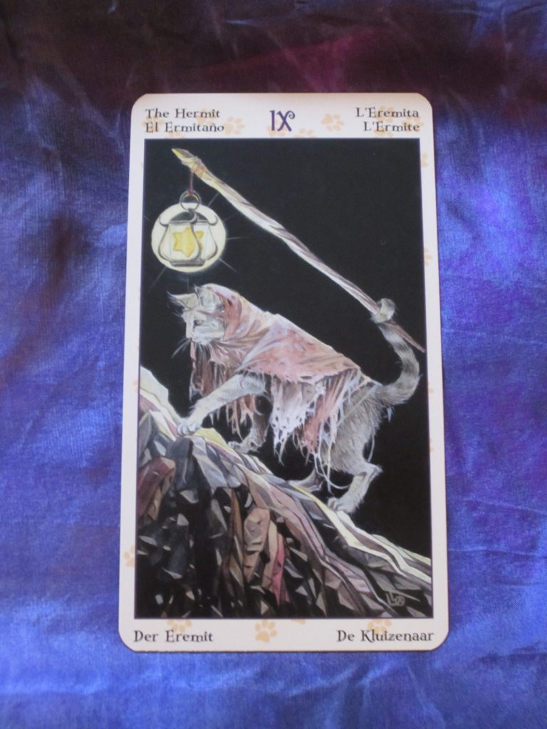 Daily Tarot Reading For Thursday The Hermit Daily Tarot Girl