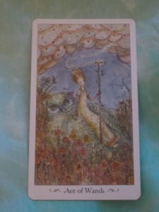 paulina tarot ace of wands