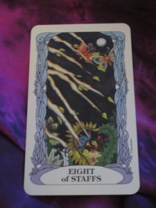 eight of wands tarot card