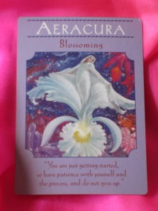 goddess guidance oracle cards