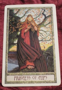 druidcraft tarot princess of cups