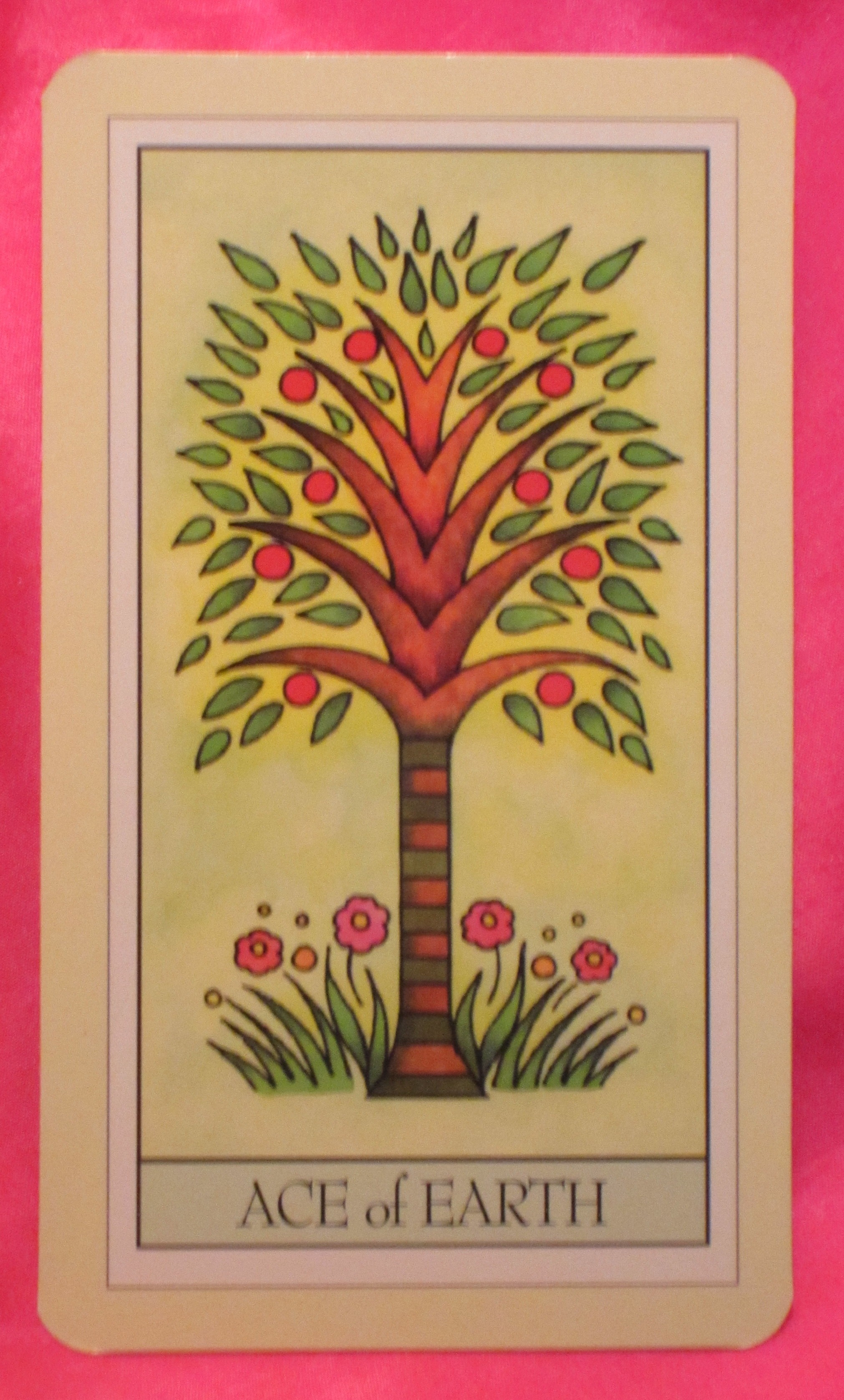 Ace of Earth Tarot Card for Friday! Daily Tarot Girl