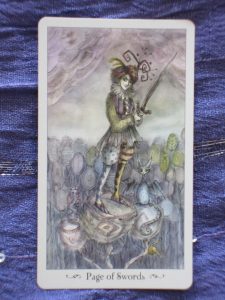 page of swords paulina tarot