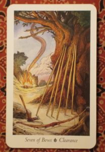 wildwood tarot