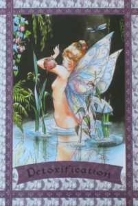fairy oracle cards