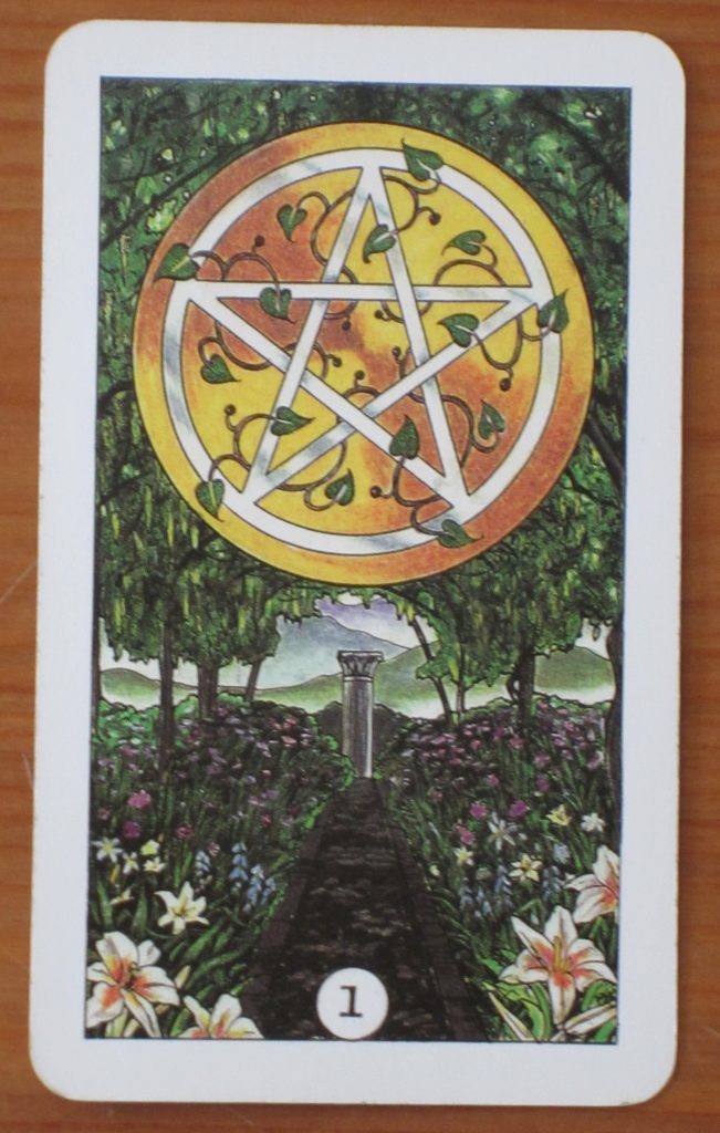 Ace of pentacles картинка