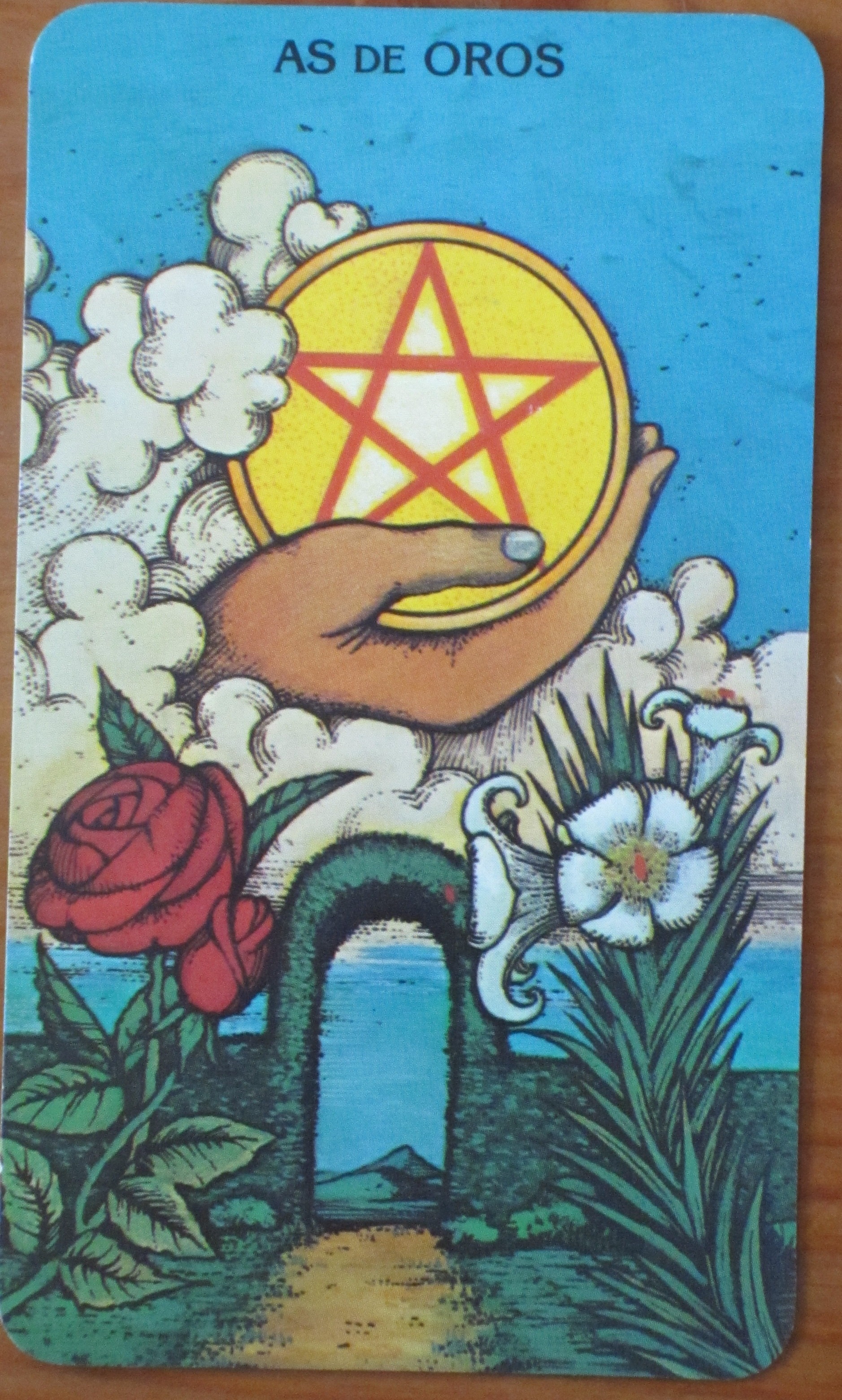 Ace of Pentacles Tarot Card for Wednesday! Daily Tarot Girl
