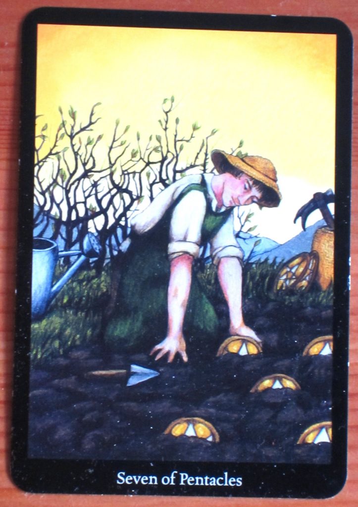 7 of pentacles