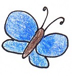 blue butterfly