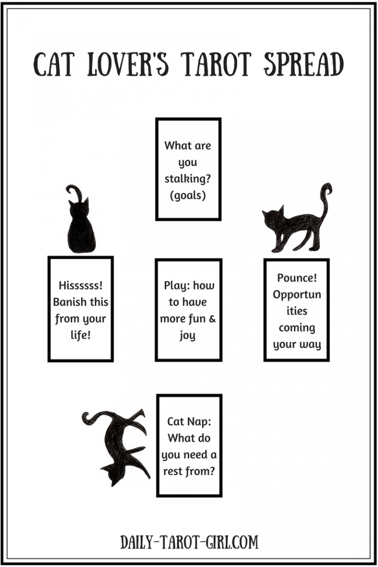 Cat Lover's Tarot Spread Daily Tarot Girl