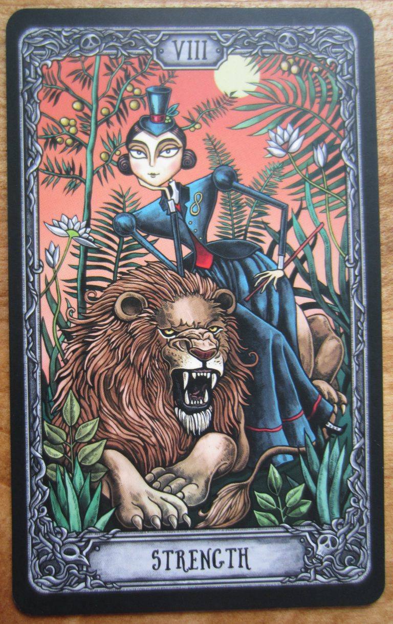 The Dark Mansion Tarot Review Daily Tarot Girl