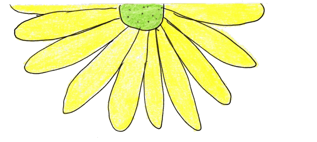 half-flower-transparent 2